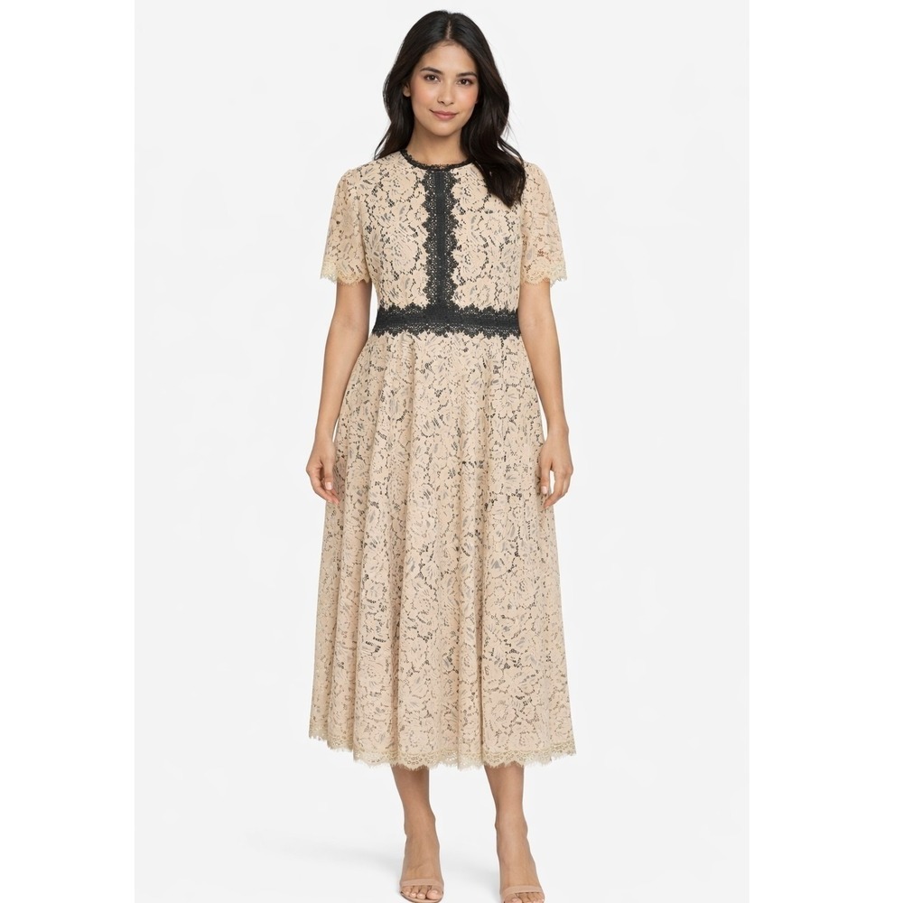 FEIINVAN Dress Woman's XL Lace Beige Black Mock Neck Short Sleeve Midi Luxury